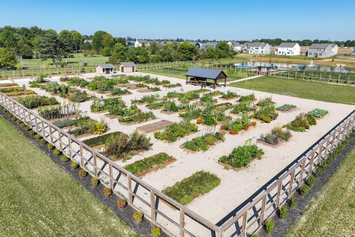 Berlin Farm