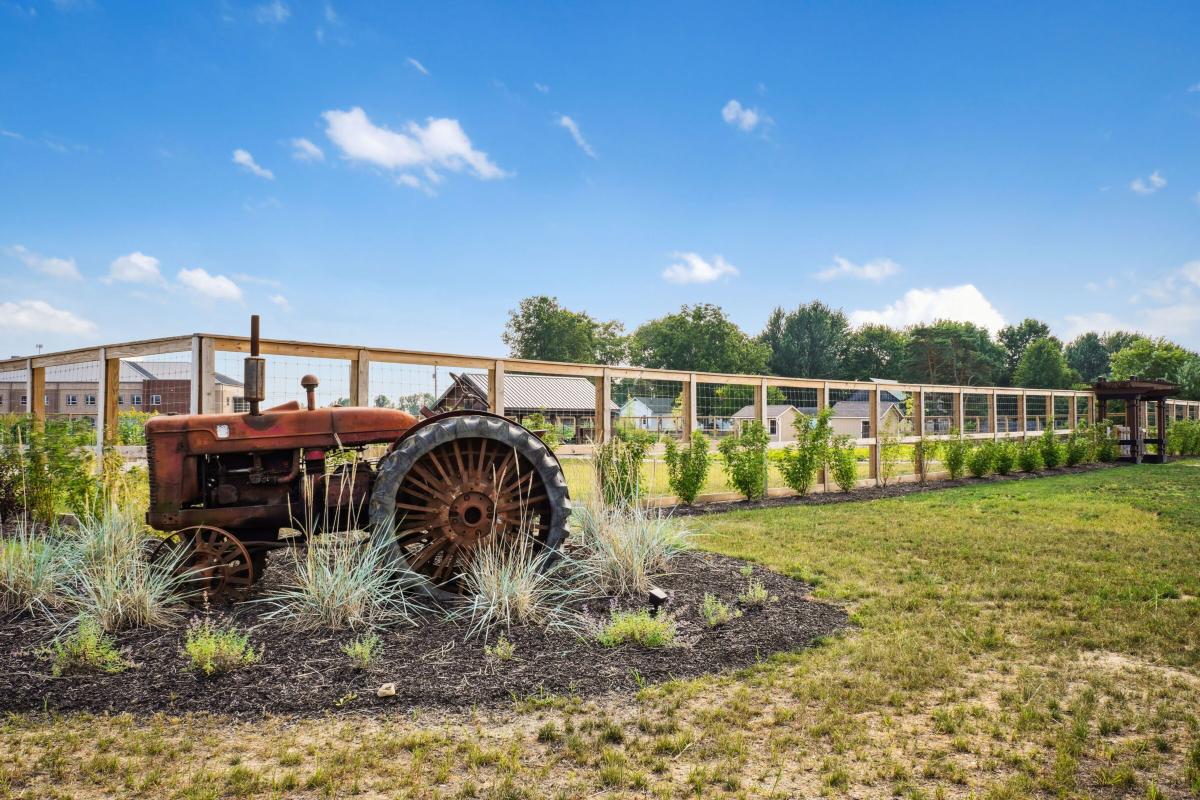 Berlin Farm