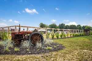 Berlin Farm