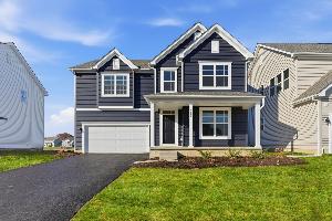 Forest Ridge