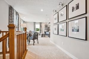 Forest Ridge