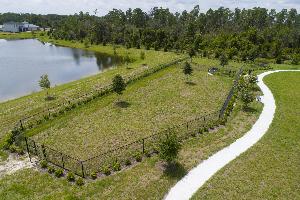 Bay Lake Farms