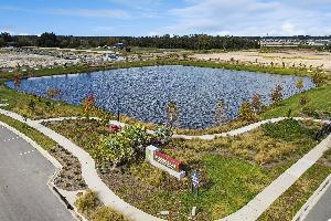 Center Lake on the Park