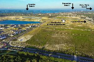SeaFlower