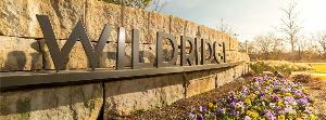 Wildridge