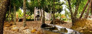 Wildridge