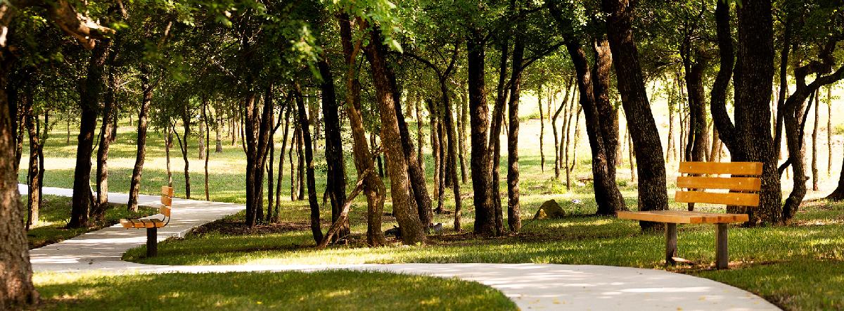 Wildridge