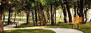Wildridge
