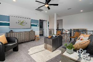 Lexington Frisco Impression 55s