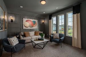 Lexington Frisco Impression 55s