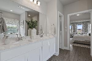 Owner's Bathroom