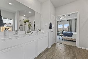 Owner's Bathroom