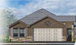 10111 Basil Beebalm Trail