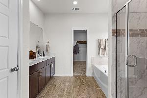 Owner's Bathroom