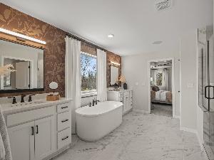 Owner's Bathroom