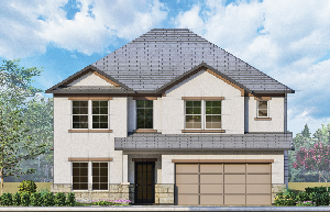 10107 Basil Beebalm Trail