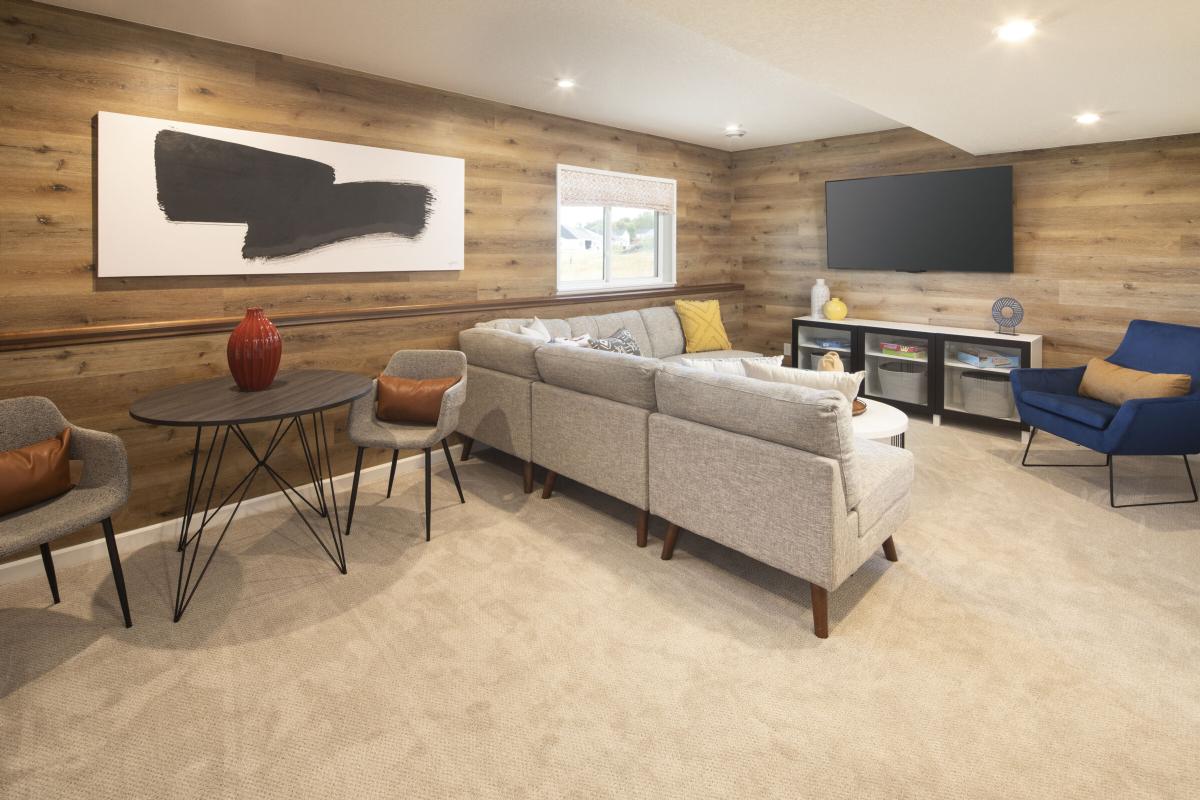 Lower Level Recreation Room