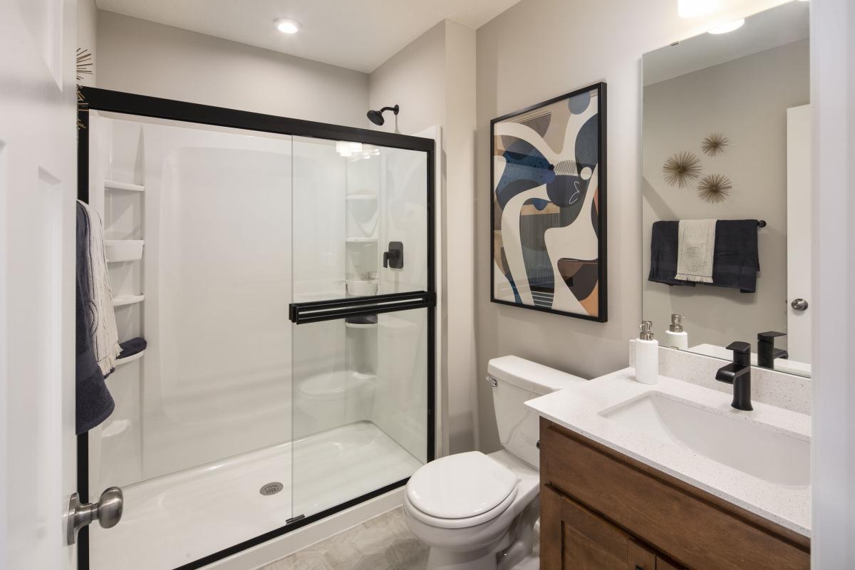 Lower Level Bathroom