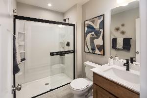 Lower Level Bathroom