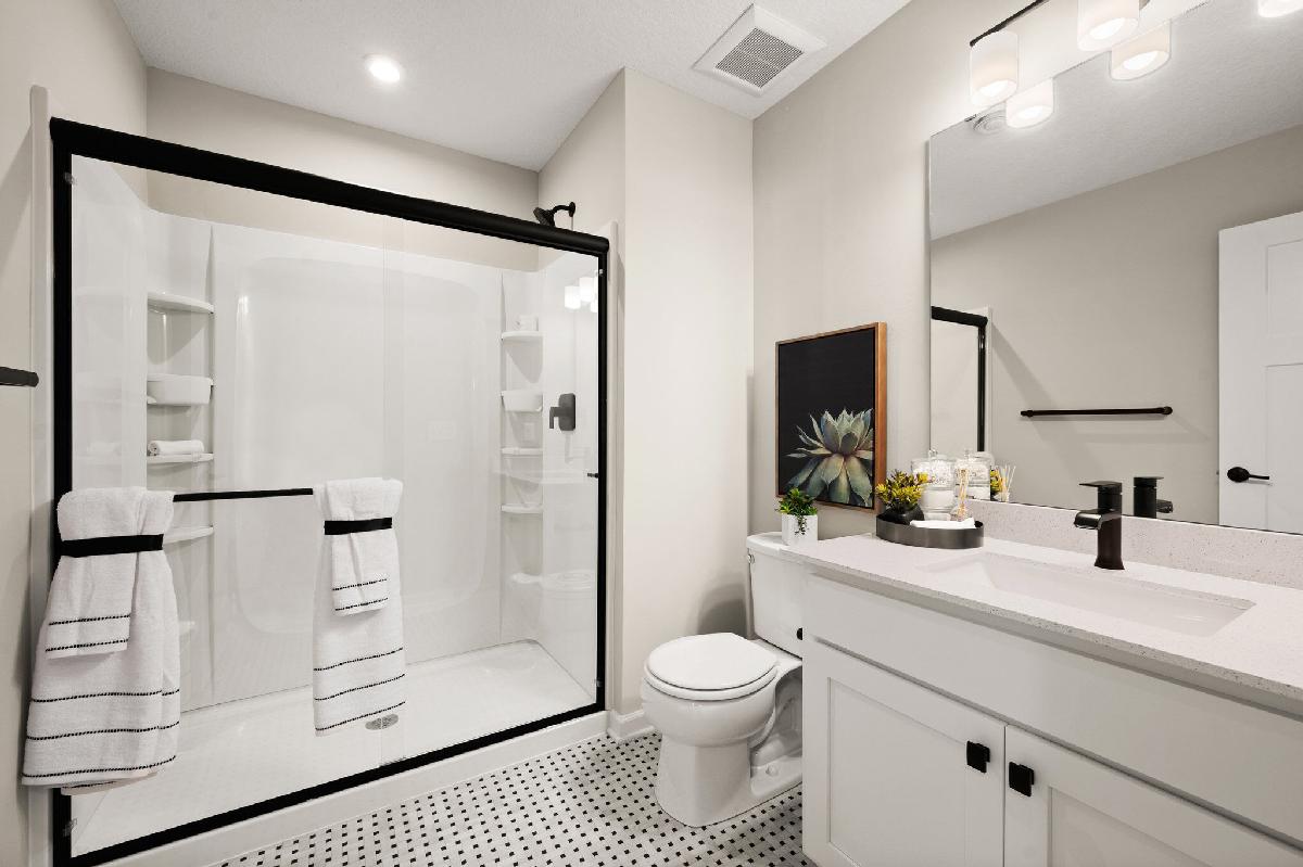 Lower Level Bathroom