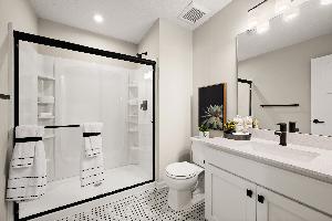 Lower Level Bathroom