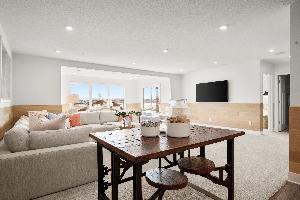 Lower Level Recreation Room