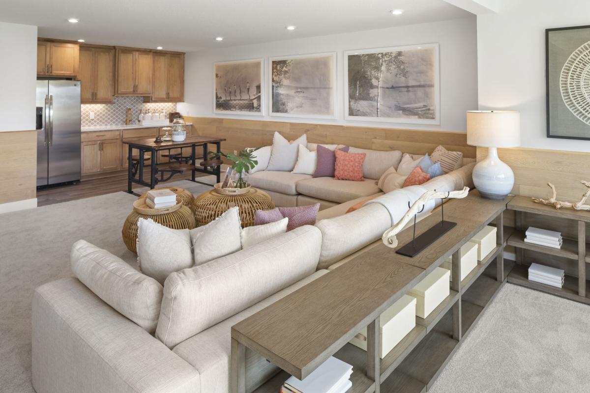 Lower Level Recreation Room