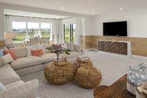 Lower Level Recreation Room