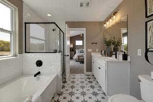 Owner's Bathroom