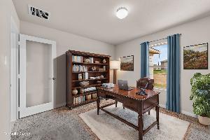 Visual Representation of Study