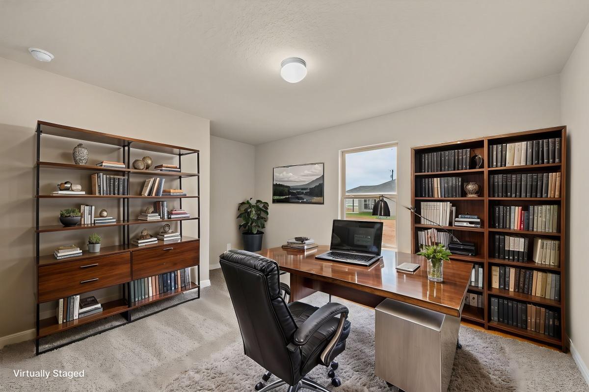 Visual Representation of Study