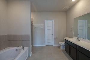 Owner's Bathroom