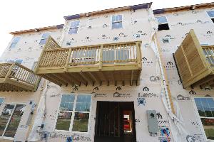 Back Exterior
