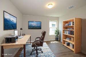 Virtual Representation of study