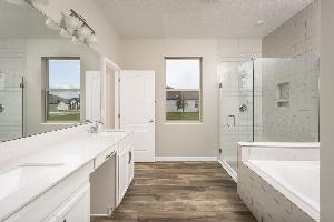 Corina II Interior - Representational Photo