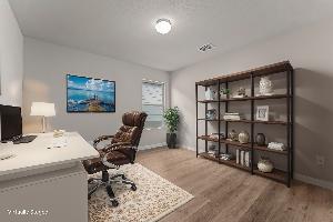 Visual Representation of Study