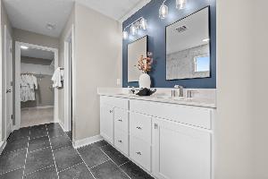 Owner's Bathroom Sink