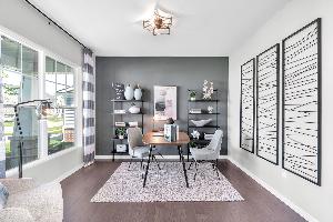 Study - Representational Photo