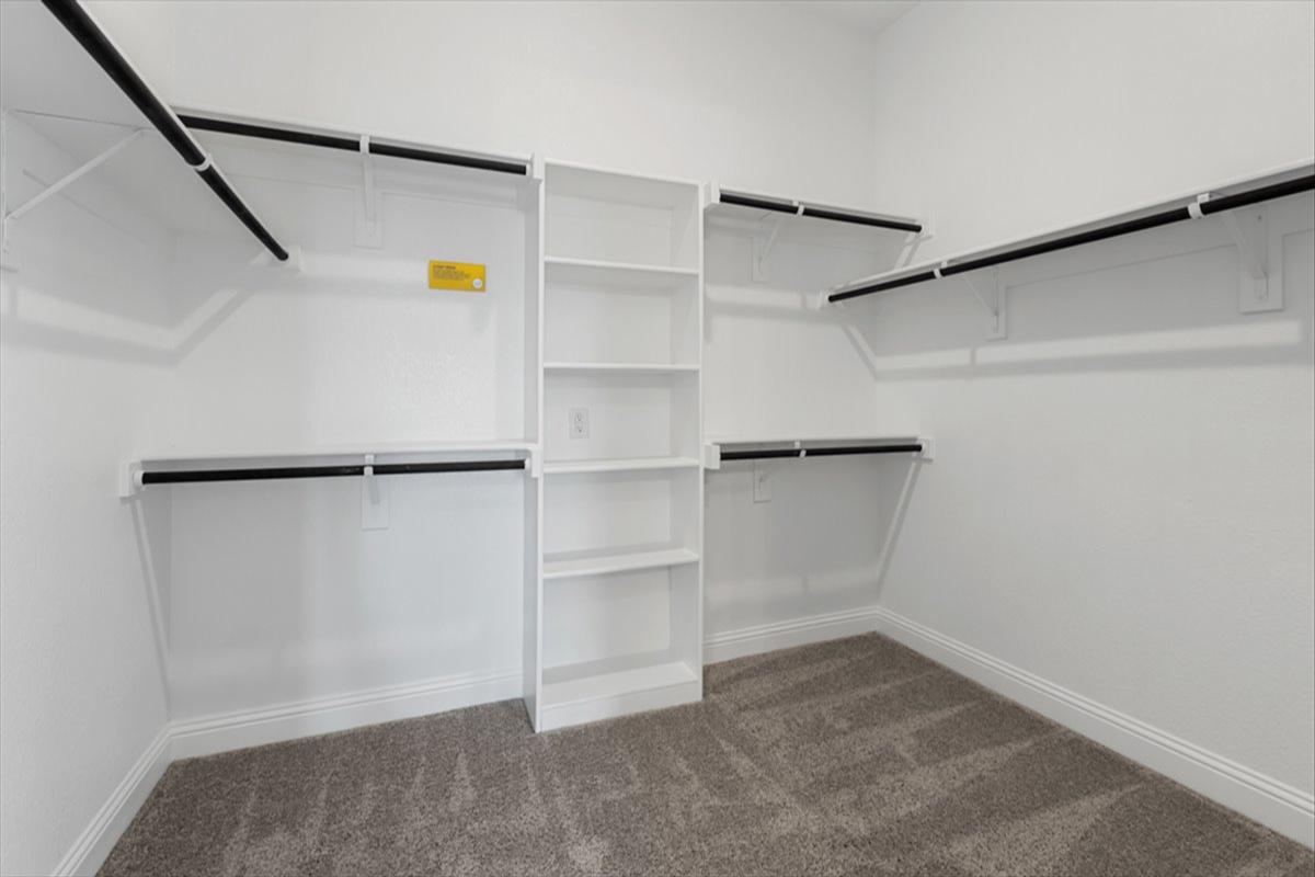 Ironwood II Representative Photography