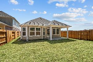 Backyard - Representational Photo