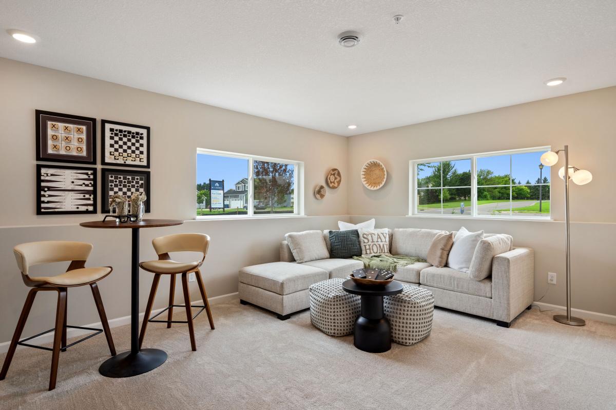 Lower Level Recreation Room