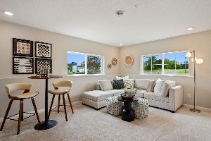 Lower Level Recreation Room