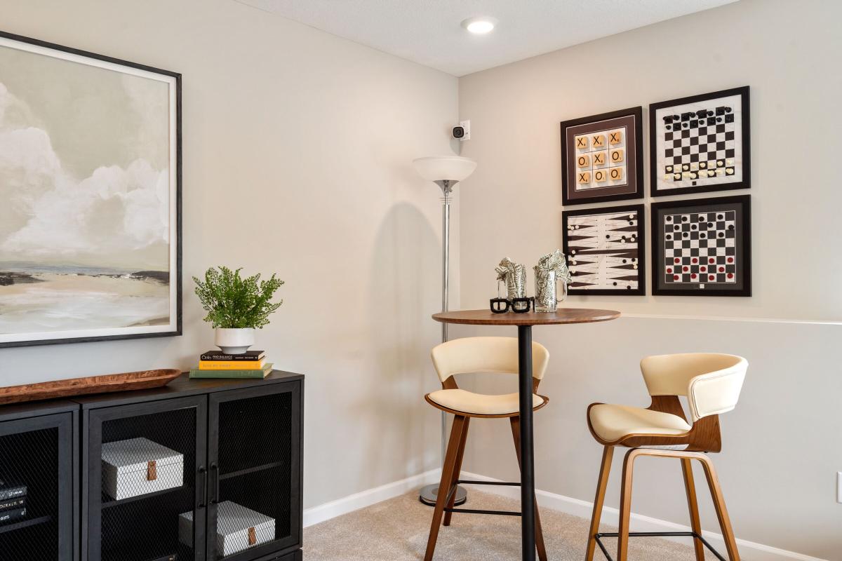 Lower Level Recreation Room