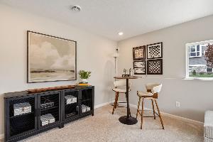 Lower Level Recreation Room