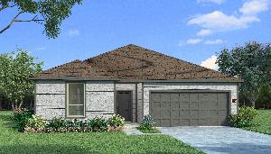 Elderberry with Elevation N