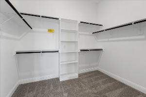 Ironwood II Representative Photography