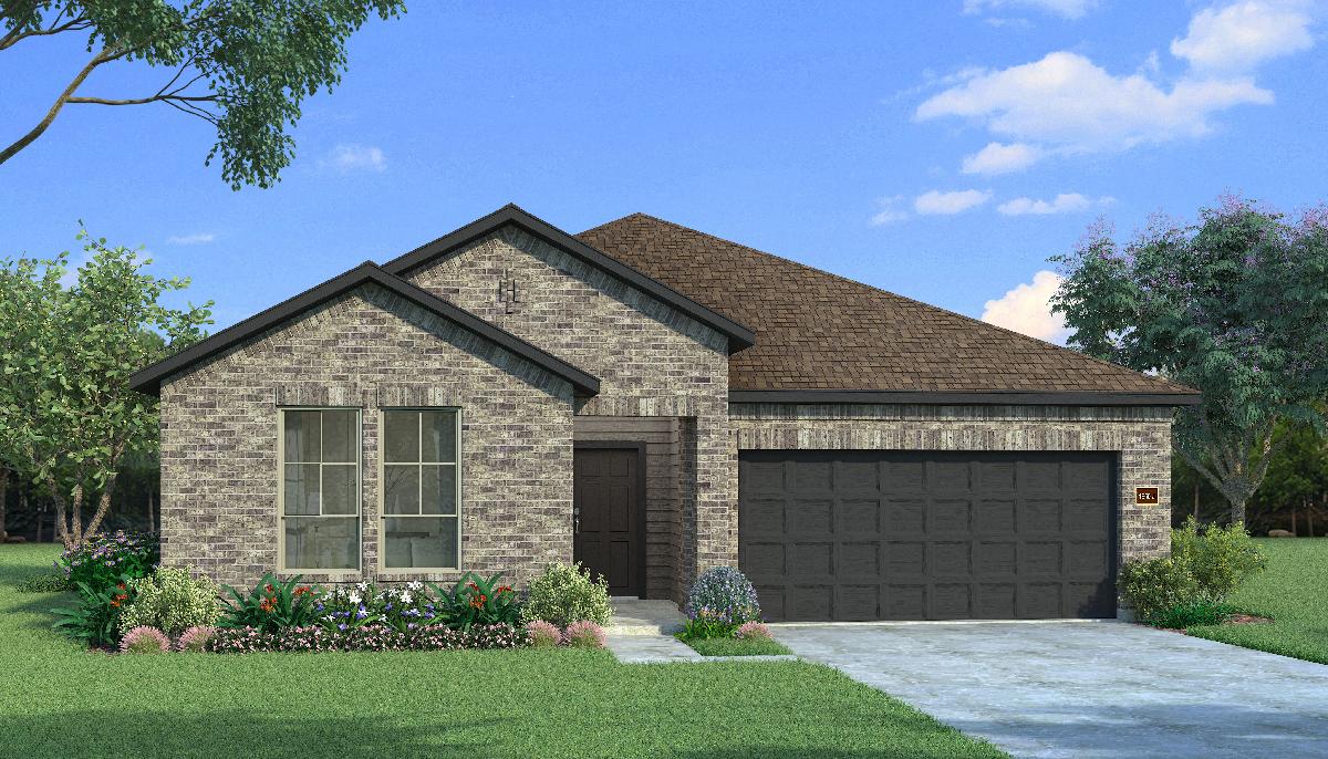 Elderberry with Elevation J