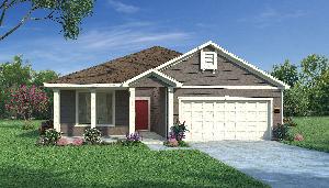 Redwood with Elevation R