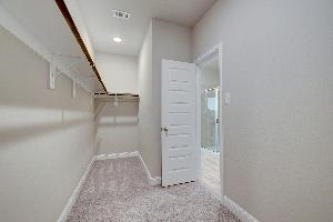 Redwood II Representative Photography