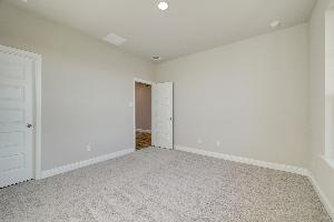 Redwood II Representative Photography